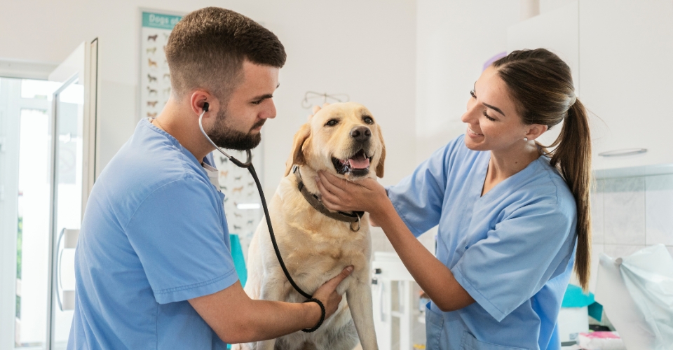 students with dog